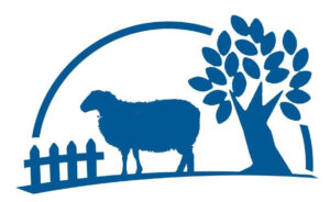 μπουκουβαλας φετα